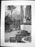 Old British Mission Morocco Atlas Palms Snow Berber Village Hasnt 188 Victorian