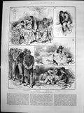 Antique Print London Poor Spend Night Thames Embankment London Bridge 1887 19th