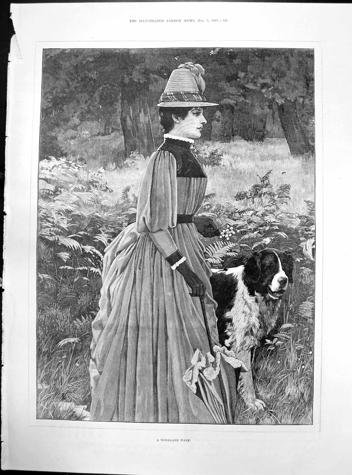 Antique Print Woodland Walk Welldressed Lady Walk St Bernard Dog Woods 1887