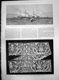 Antique Old Print San Remo Crown Prince Hms Smyrna Needlepoint Lace Pope 1877