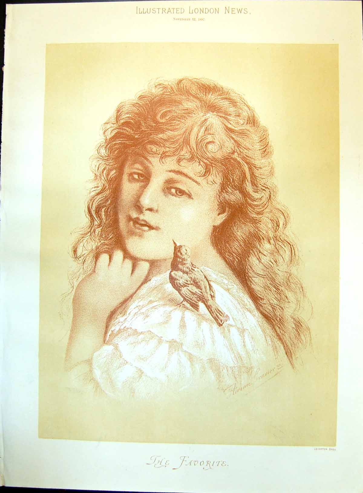 Old Favorite Florence Gravier Young Woman Bird Sitting Shoulder 1887 Victorian