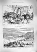 Old Antique Print 1888 Wild Wolves London Sangers Amphitheatre Hythe Army 19th