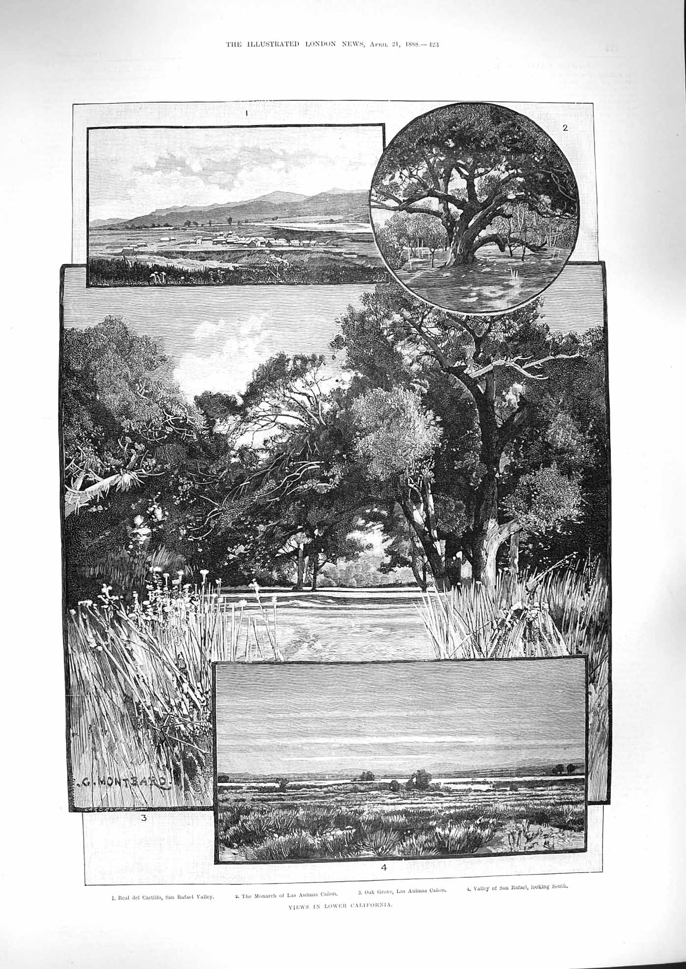 Original Old Antique Print 1888 California Real Castillo Oak Grove San Rafael