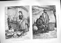 Original Old Antique Print 1888 Ireland Seed Potatoes Breeding Poultry Pay Rent