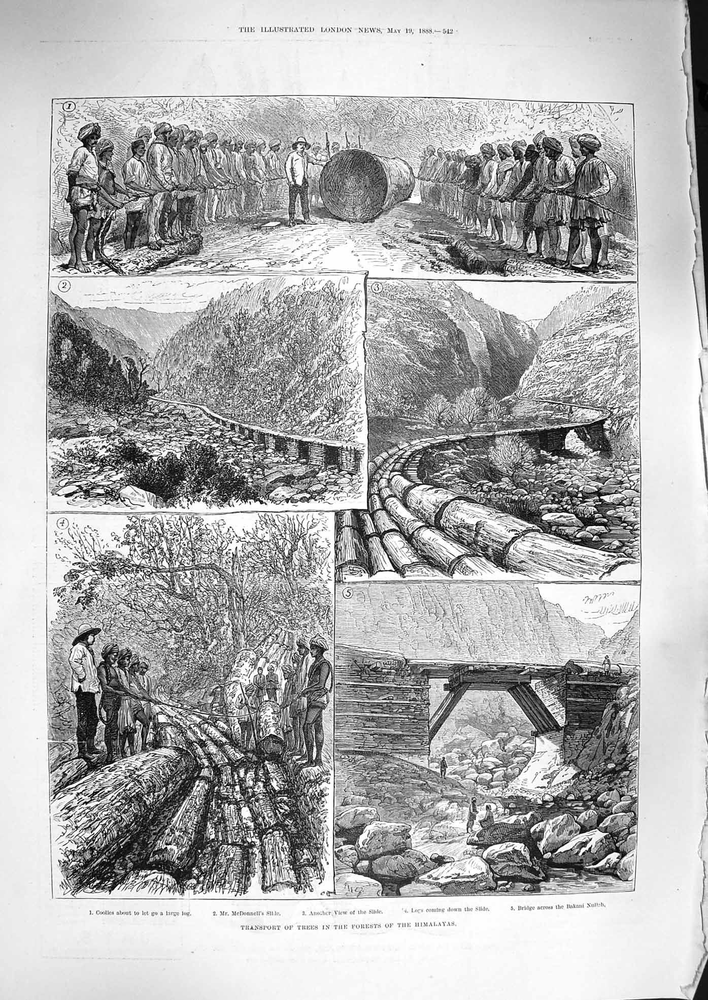 Old Antique Print 1888 Transport Trees Forest Himalayas Mcdonnell Coolies 19th