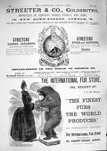 Original Old Antique Print 1888 Advertisement Streeter Gsmith Fur Store 19th