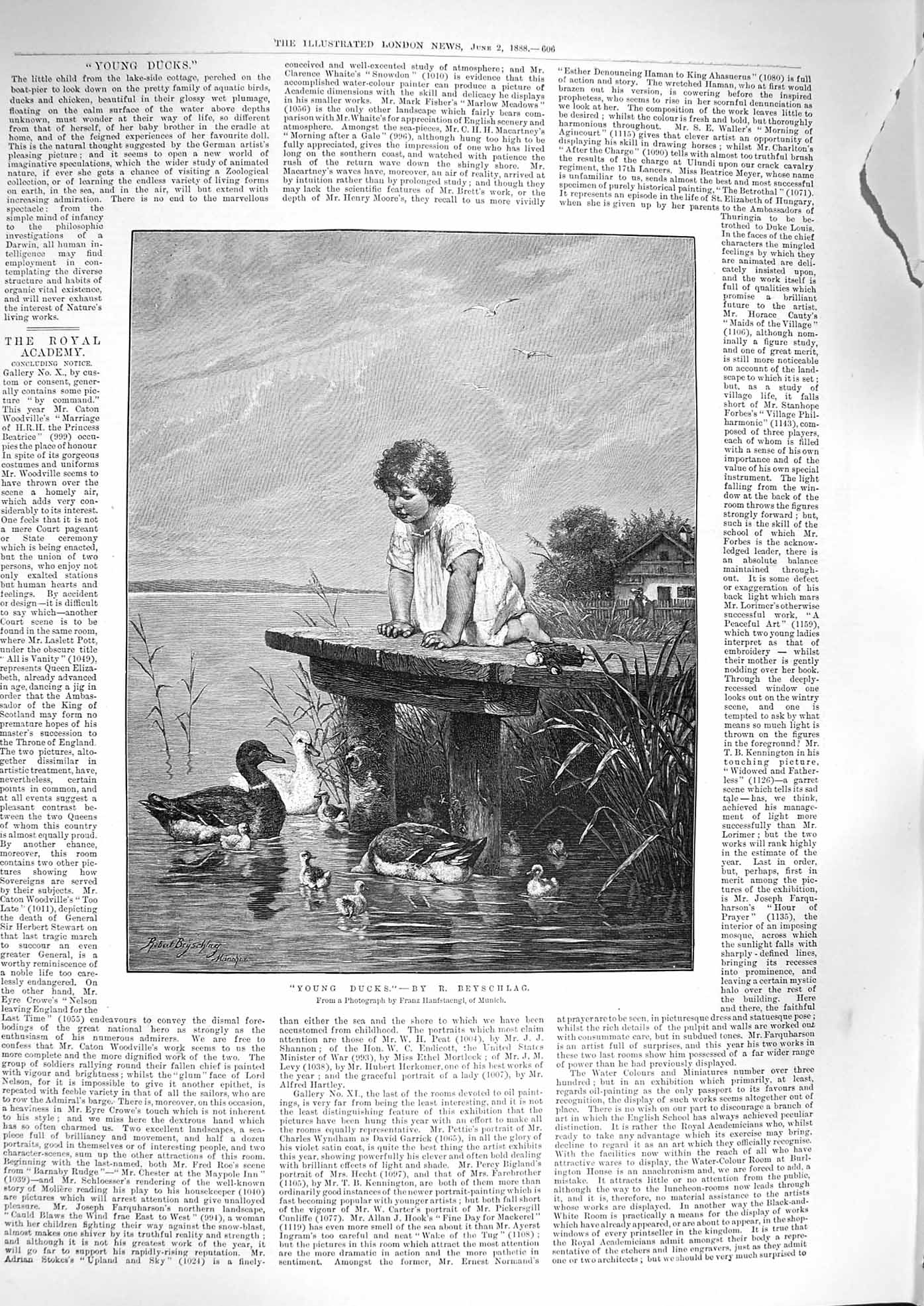 Original Old Antique Print 1888 Young Docks Wooden Pier Ducks Beyschlag 19th