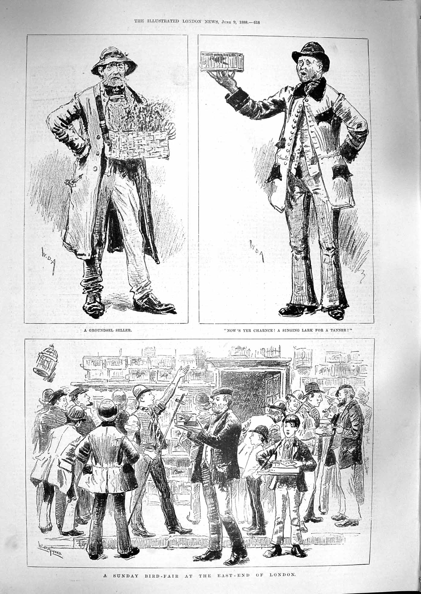 Original Old Antique Print 1888 Bird Fair East-End London Groundsel Seller Lark