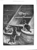 Original Old Antique Print 1888 Before Break Owl Bird Prey Mouse Kitten Cats