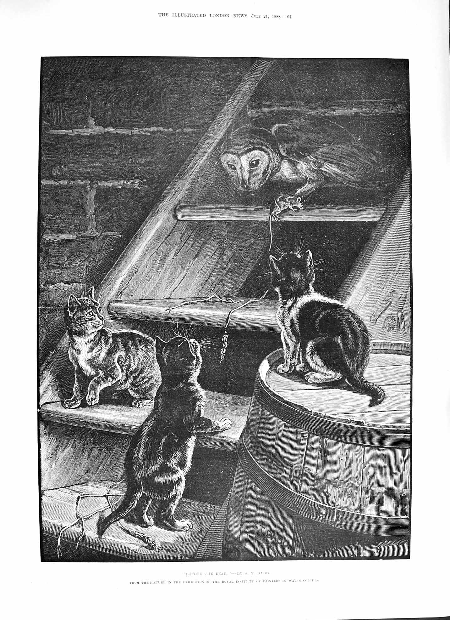 Original Old Antique Print 1888 Before Break Owl Bird Prey Mouse Kitten Cats