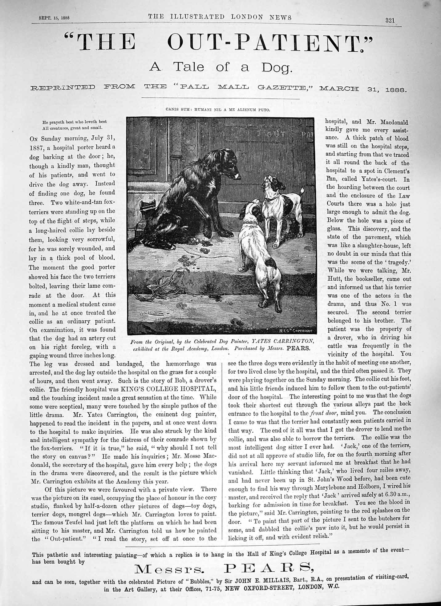 Original Old Antique Print 1888 Advertisement Pears Soap Oxford Street London