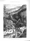 Original Old Antique Print 1888 Newcastle Jamiaca Morton D'Orsay Bridle-Path