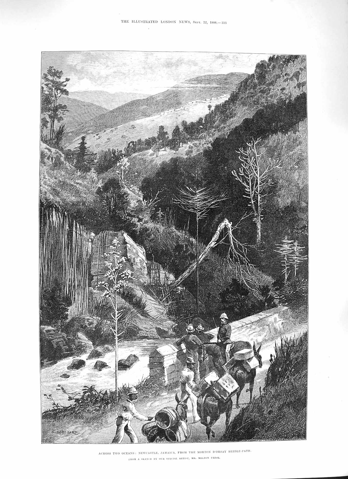 Original Old Antique Print 1888 Newcastle Jamiaca Morton D'Orsay Bridle-Path