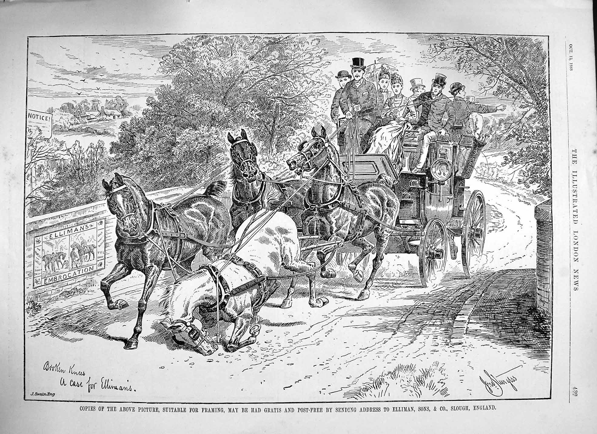 Old Antique Print 1888 Advertisement Ellimans Embrocation Horses Slough 19th