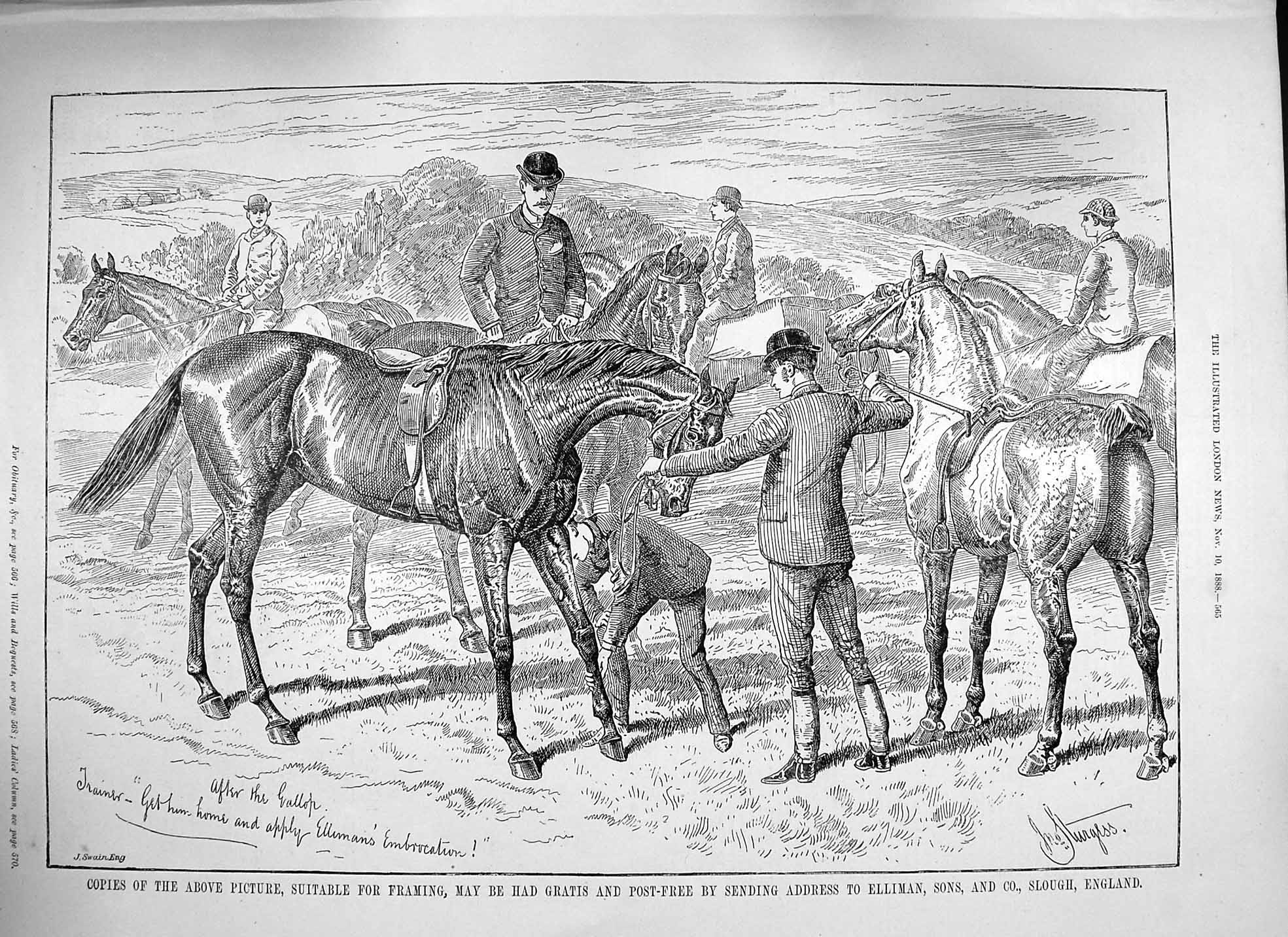 Old Antique Print 1888 Advertisement Ellimans Embrocation Horses Health 19th