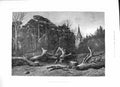 Original Old Antique Print 1888 Dead Siers After Battle Woods Moonlight Scene