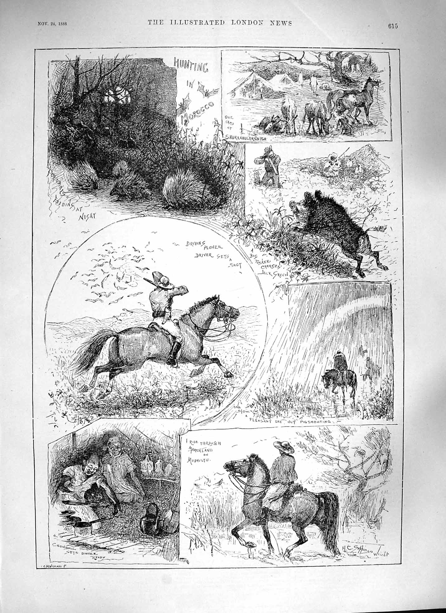 Original Old Antique Print 1888 Hunting Morocco Shooting Birds Pigs Porcupines