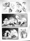 Original Old Antique Print 1888 Poultry Pigeon Show Crystal Palace Birds Guinea