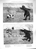 Original Old Antique Print 1888 Scarecrow Dog Duckling Ponto Berkeley Fine Art