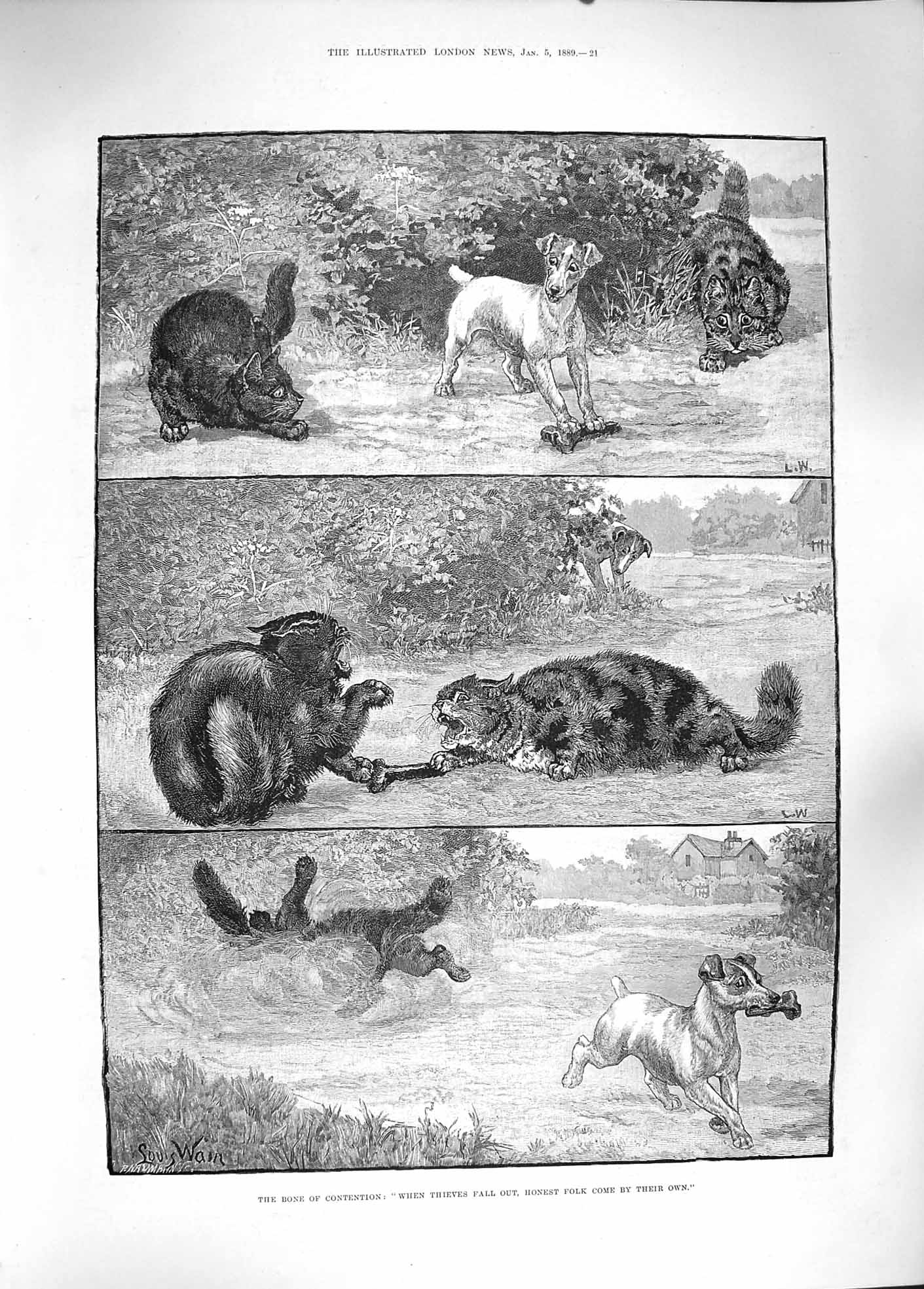 Original Old Antique Print 1889 Bone Contention Dogs Cats Fighting Bone 19th
