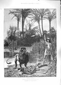 Old Antique Print 1889 Cleopatra Man Killed Lion Spear Woodville Fine Art 19th