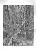 Original Old Antique Print 1889 Elk Sambhur Deer Hunting Ceylon Bamboo Fine Art