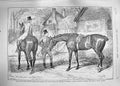 Old Antique Print 1889 Advertisement Ellimans Embrocation Horses England 19th