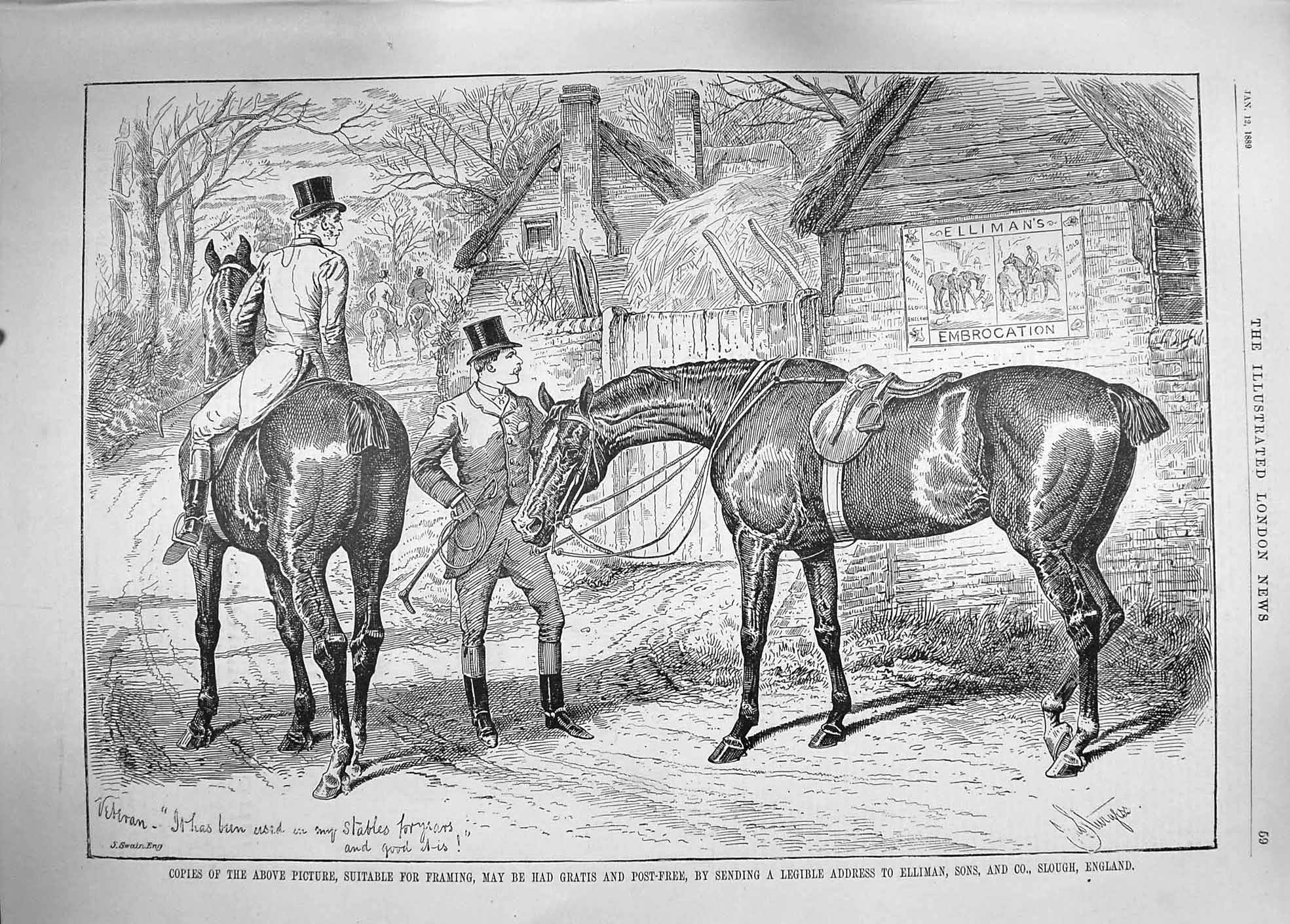 Old Antique Print 1889 Advertisement Ellimans Embrocation Horses England 19th