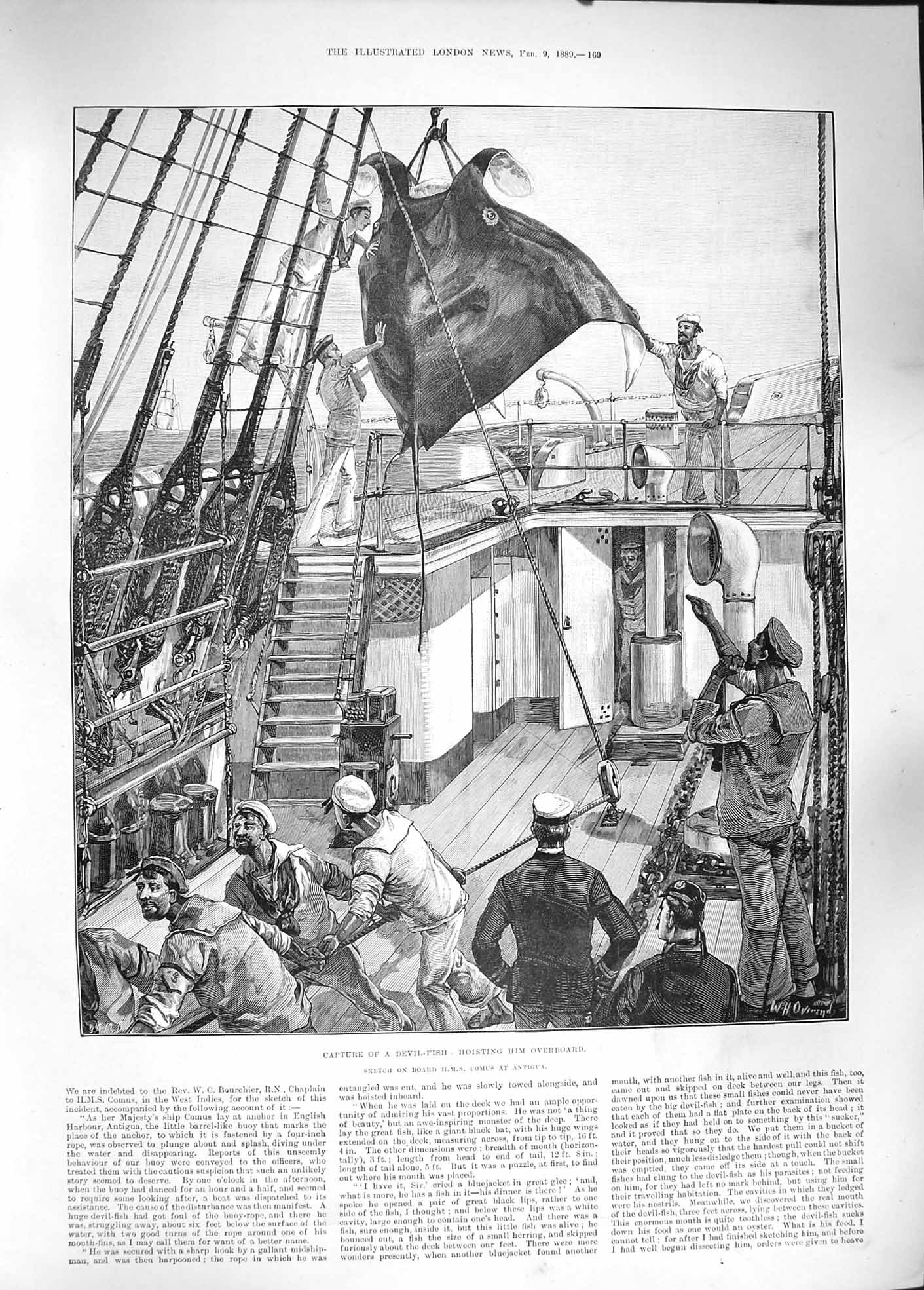 Original Old Antique Print 1889 Capture Devil Fish Scene Hoisting Ship Comus