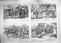 Old Antique Print 1889 Advertisement Elliman Embrocation Hunting Horses 19th