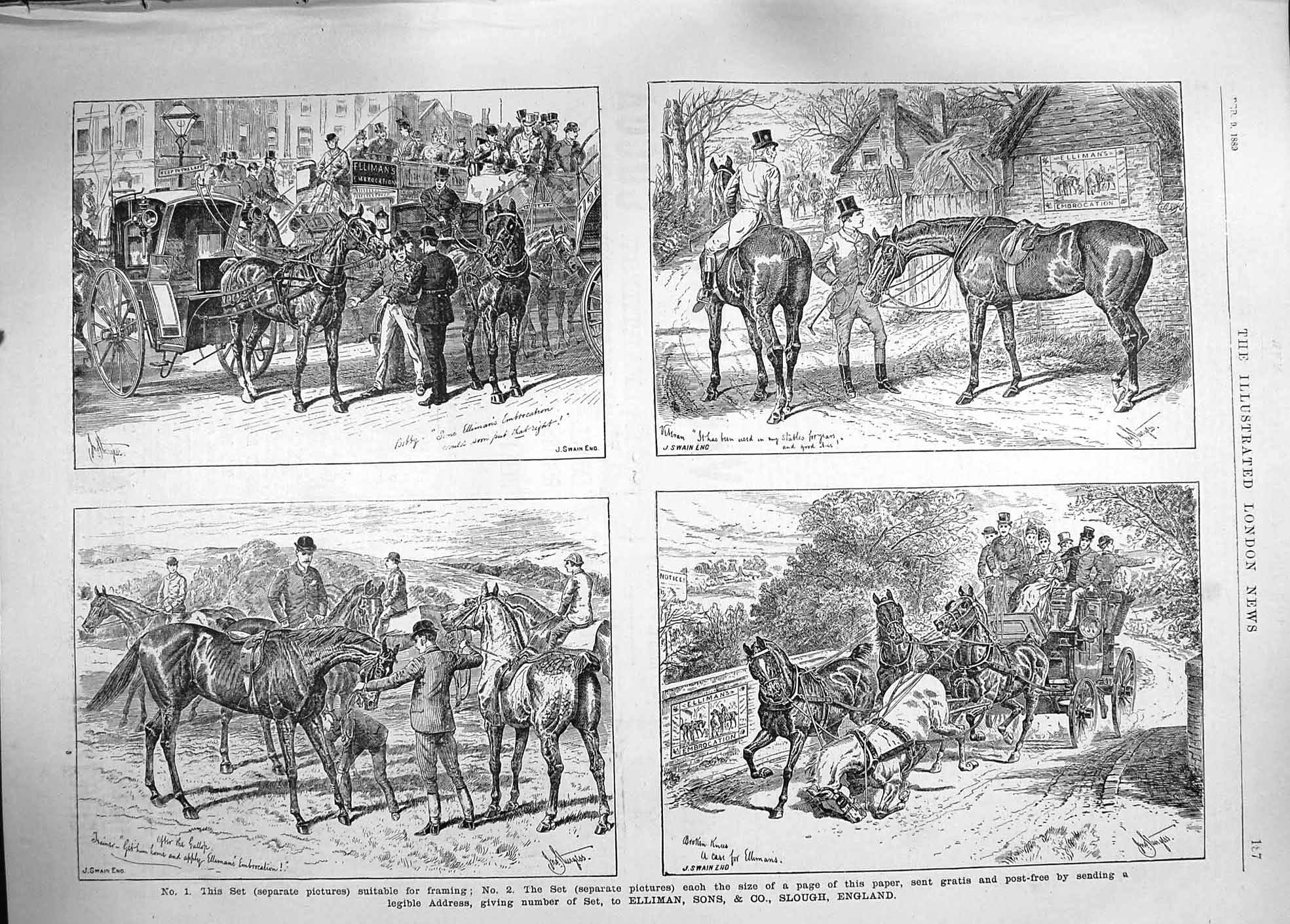 Old Antique Print 1889 Advertisement Elliman Embrocation Hunting Horses 19th