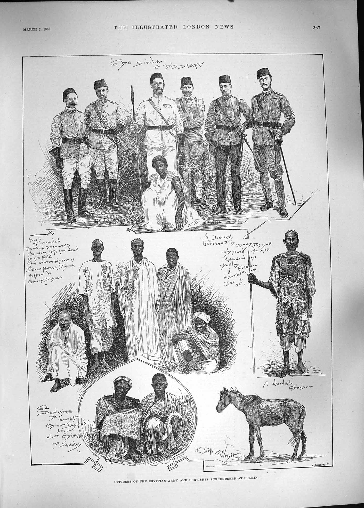 Antique Print *3827 1889 Officers Egyptian Army Dervishes Suakin War Horse