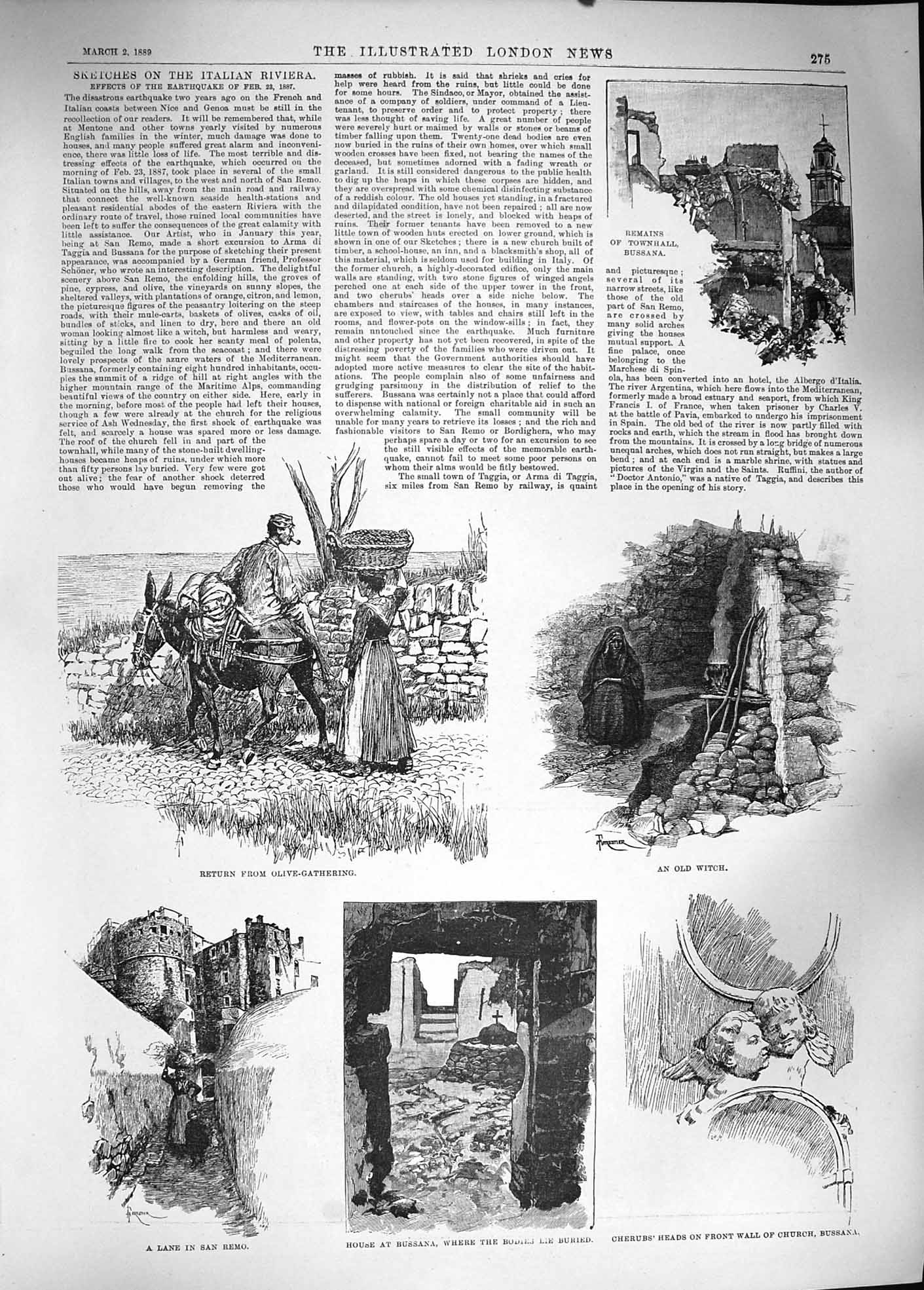 Old Antique Print 1889 Olive Gathering Italy Witch Bussana Church Taggia 19th
