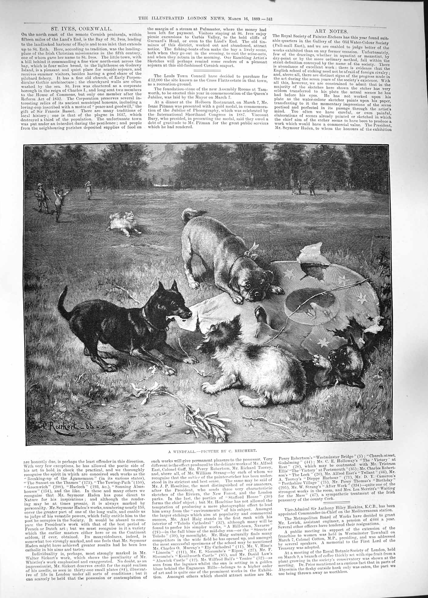 Original Old Antique Print 1889 Reichert Windfall Dogs Chewing Children Kite