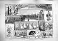 Original Old Antique Print 1889 Camp Life Guards Siers War Penny Fizzers Bear