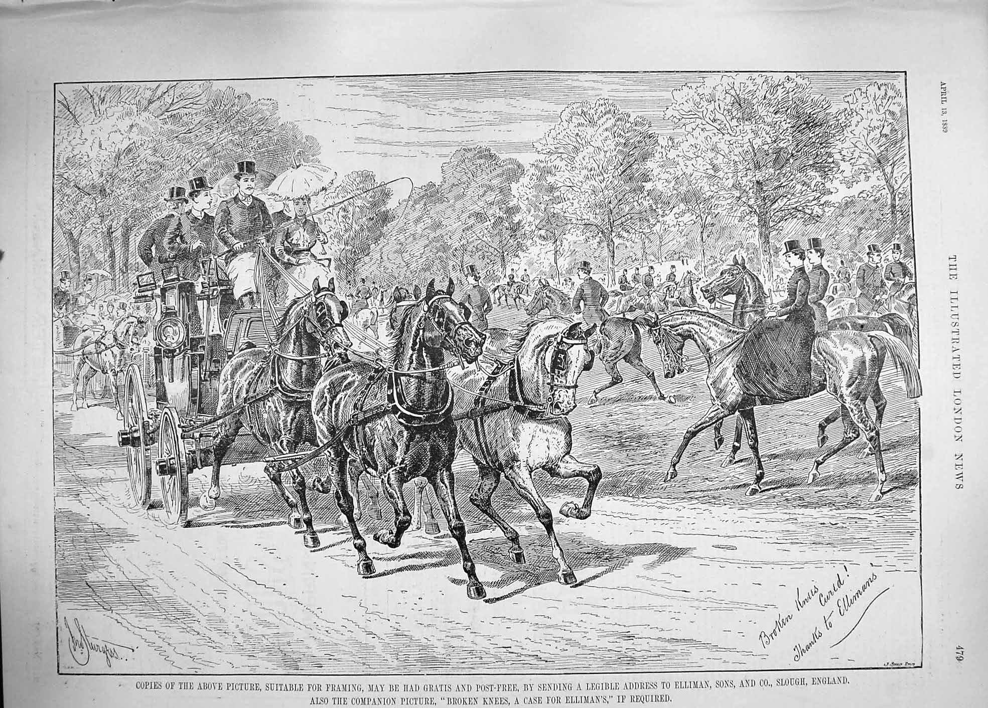 Old Antique Print 1889 Advertisement Ellimans Embrocation Horses Slough 19th