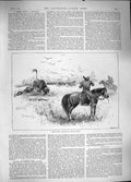 Original Old Antique Print 1889 Scene Fight Buffalo South Africa Huntin 19th