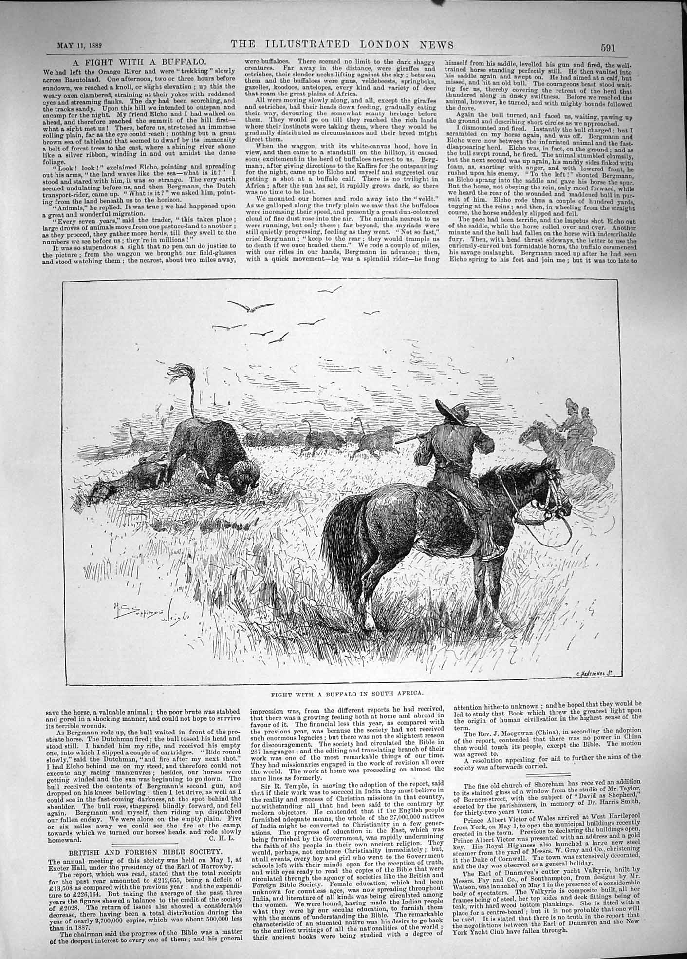 Original Old Antique Print 1889 Scene Fight Buffalo South Africa Huntin 19th