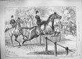 Old Antique Print 1889 Advertisement Elliman Embrocation Horses Jumping 19th
