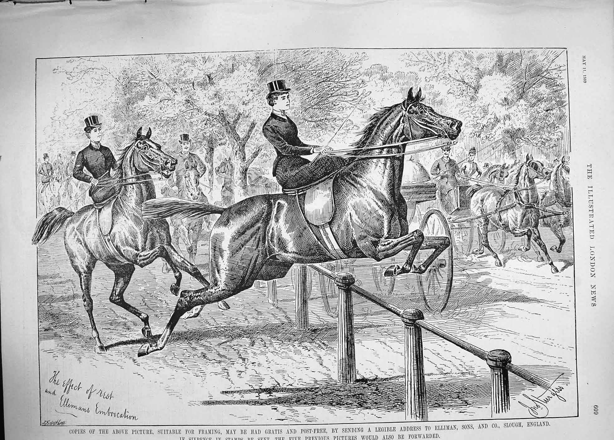 Old Antique Print 1889 Advertisement Elliman Embrocation Horses Jumping 19th
