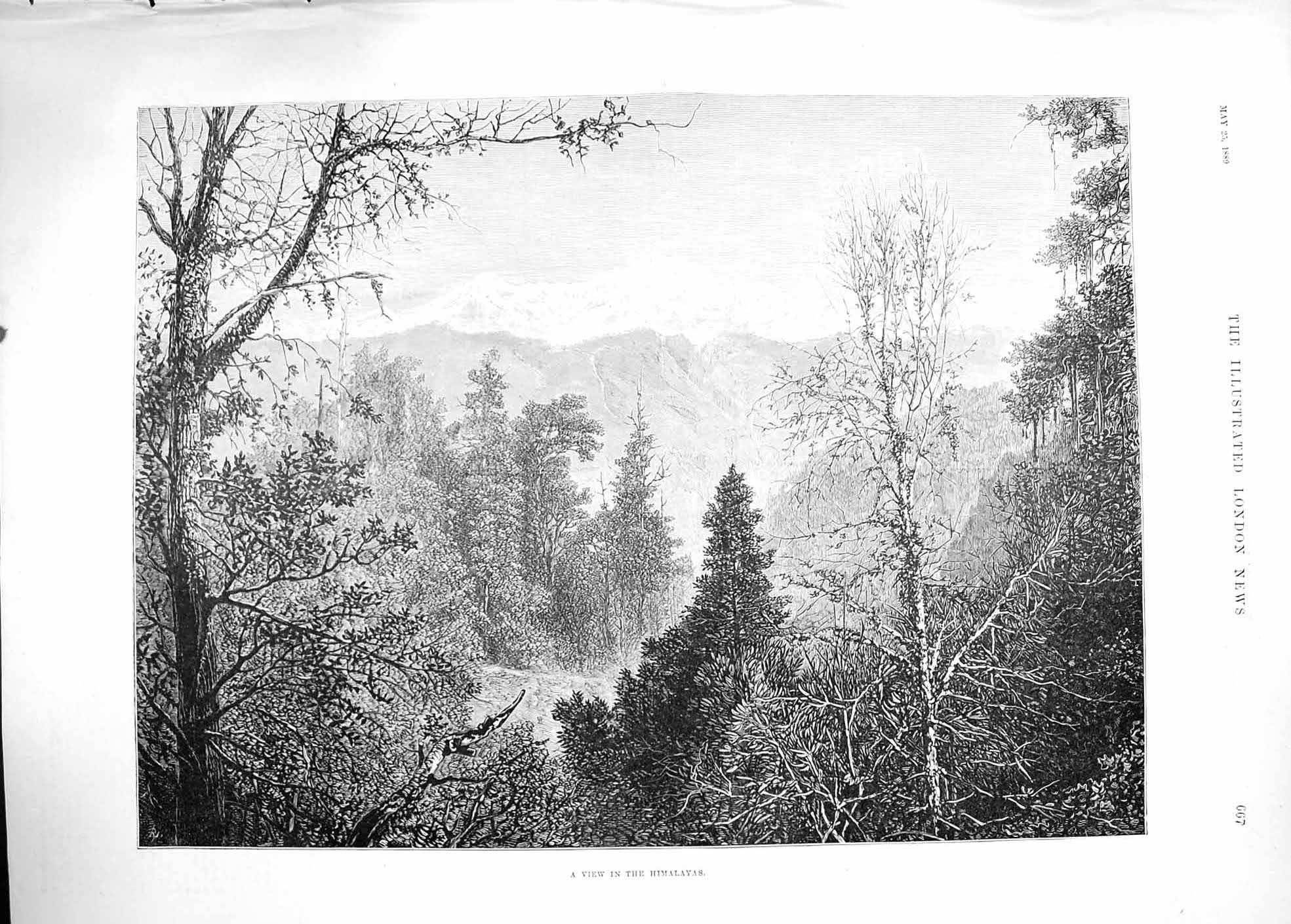 Original Old Antique Print 1889 View Himalayas Mountains Trees Snow Victorian