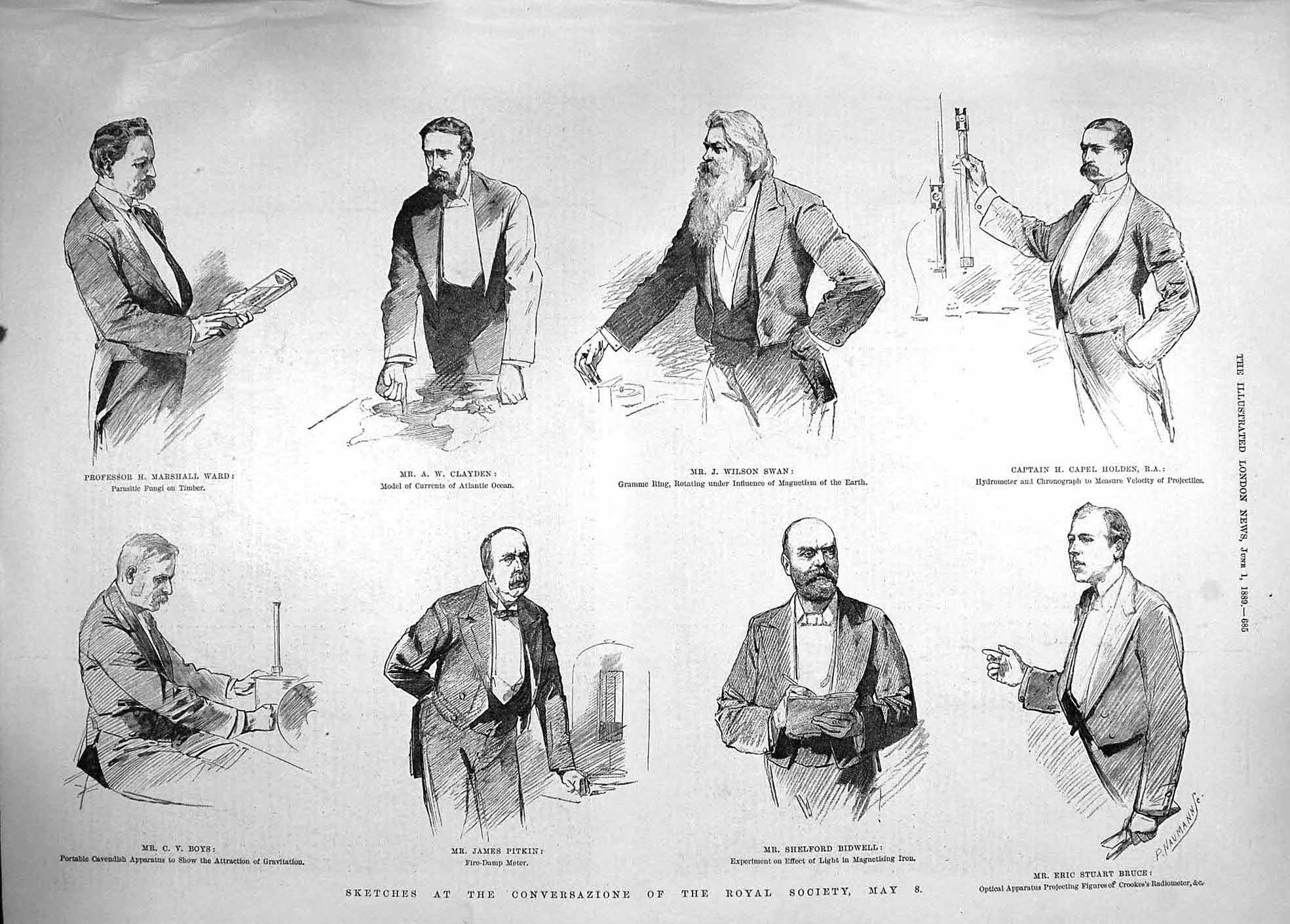 Original Old Antique Print 1889 Ward Clayden Swan Hen Bruce Bidwell Pitkin Boys