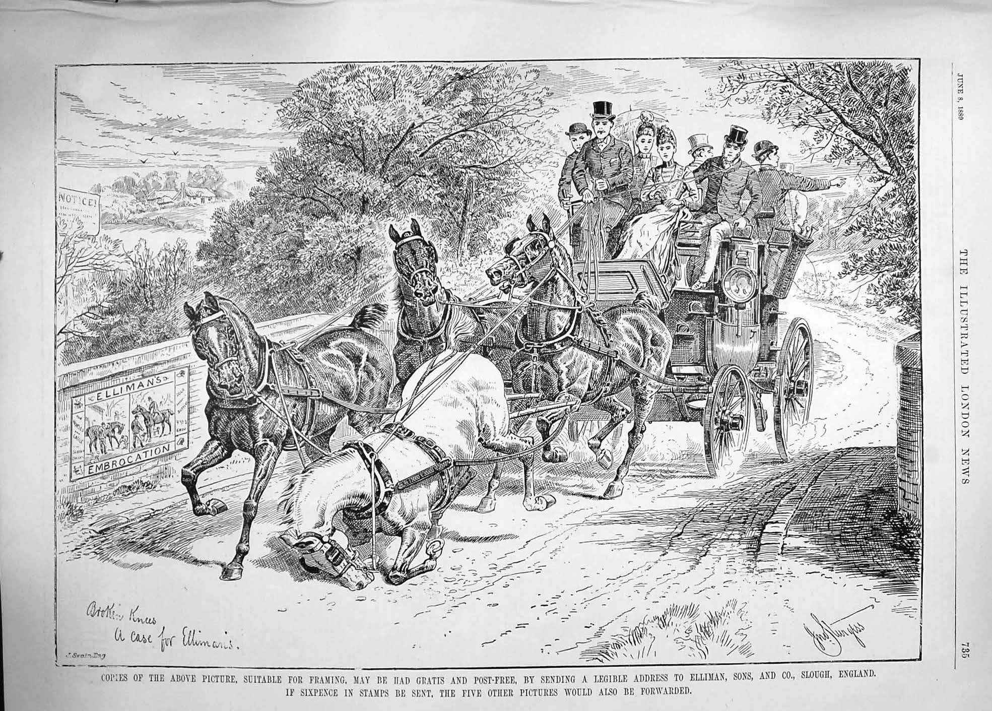 Original Old Antique Print 1889 Advertisement Ellimans Embrocation Horse Coach