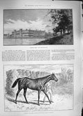 Original Old Antique Print 1889 Welbeck Abbey Donovan Horse Derby Duke Portland