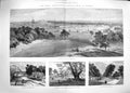 Old Antique Print 1889 Agricultural Show Windsor Bromley Hill Queen Anne 19th