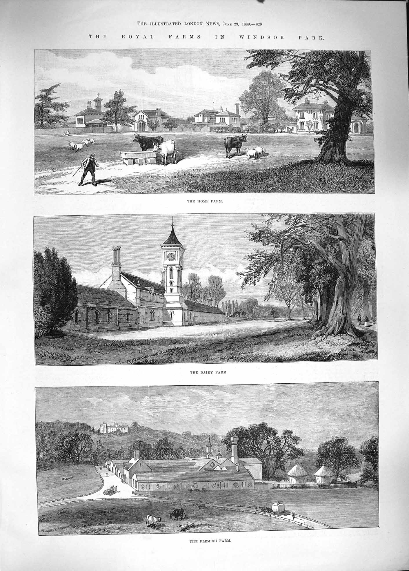 Original Old Antique Print 1889 Royal Farms Windsor Castle Home Dairy Flemish