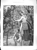 Original Old Antique Print Taylor 1889 Cherry Picking London Market Frui 19th