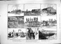 Original Old Antique Print 1889 Africa GField Transvaal Show Windsor Cattle