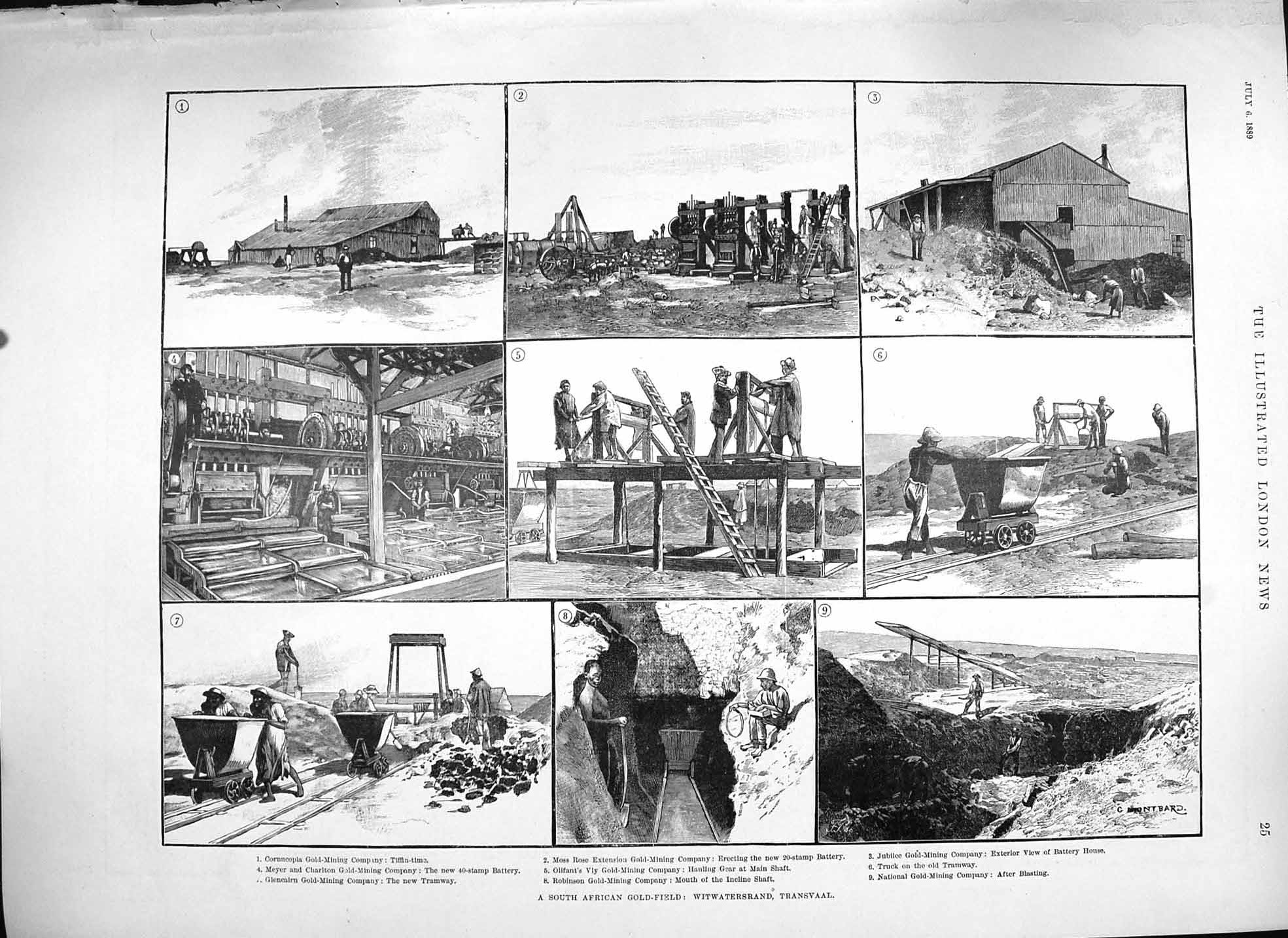 Original Old Antique Print 1889 Africa GField Transvaal Show Windsor Cattle