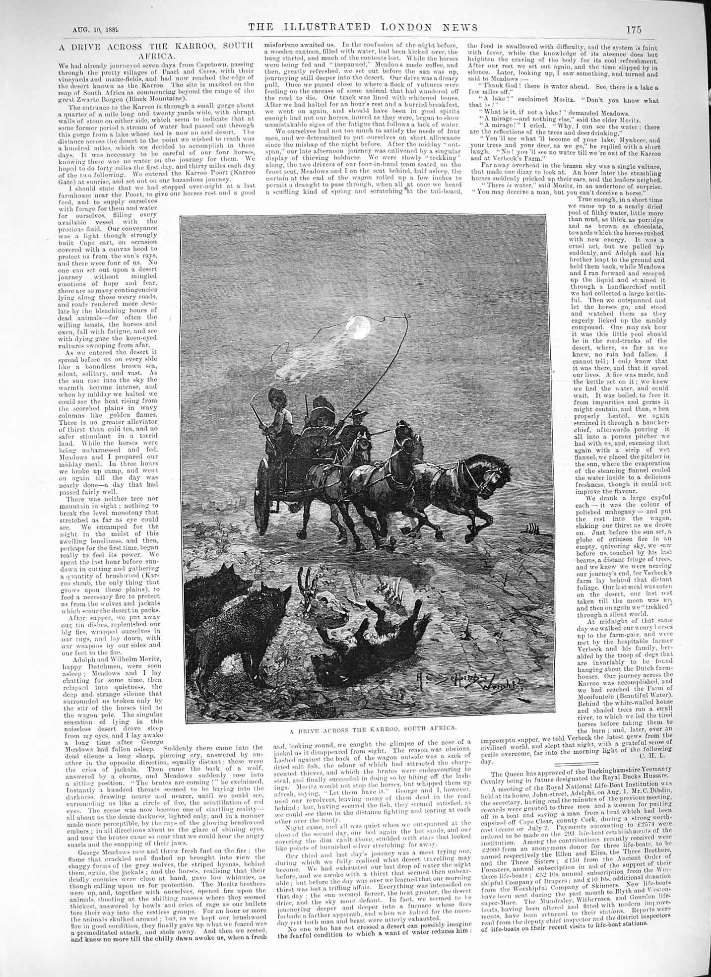 Original Old Antique Print 1889 Horses Cart Drive Karroo South Africa Moonlight